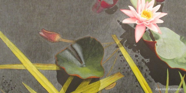 Bloom and Debris