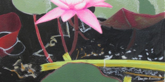 Pond Elements