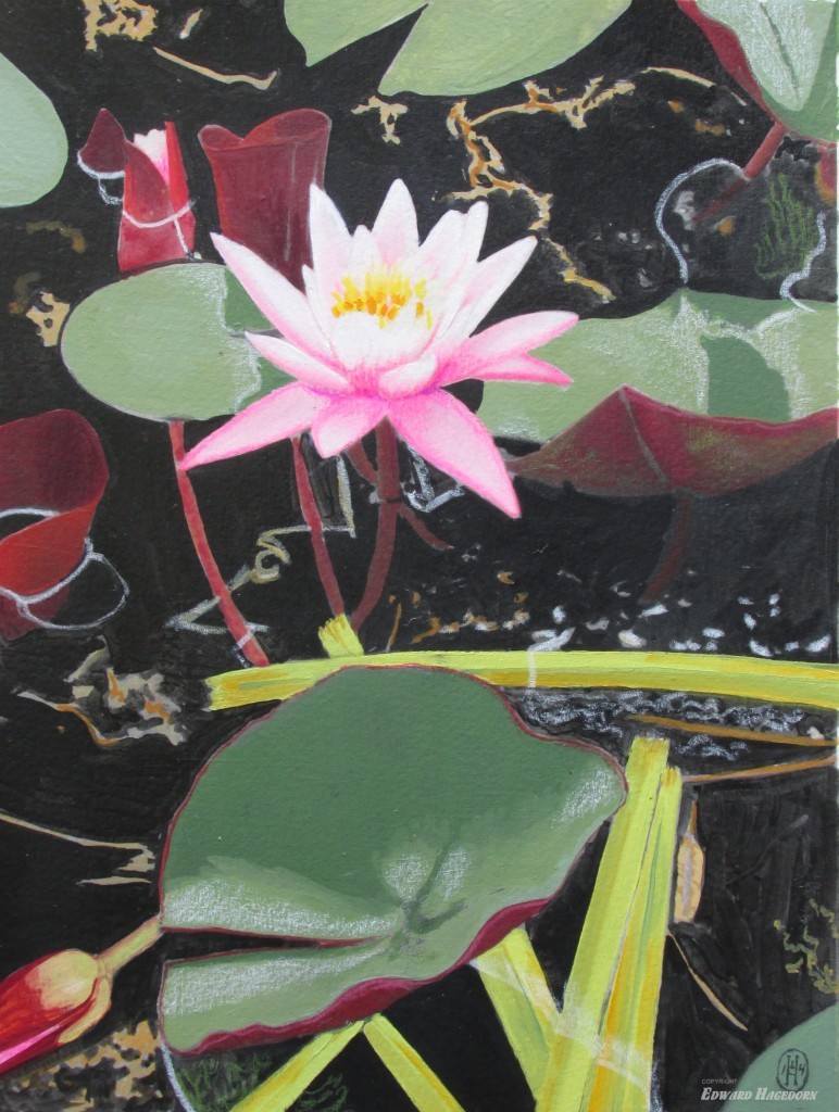 Pond Elements